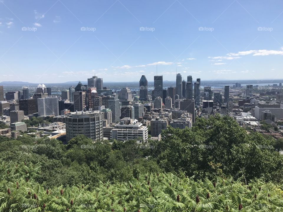 The city of Montreal 