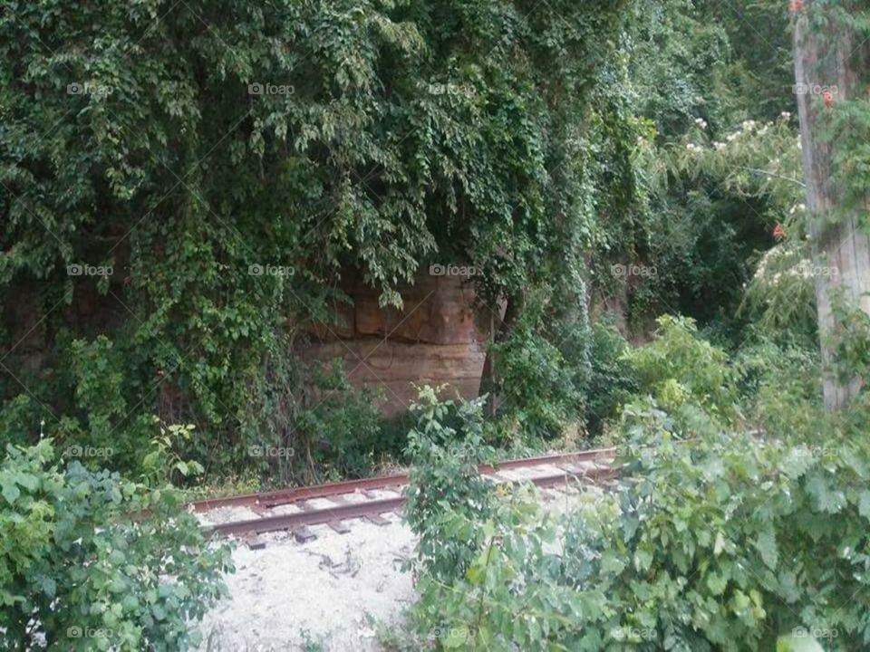 Abandoned rail