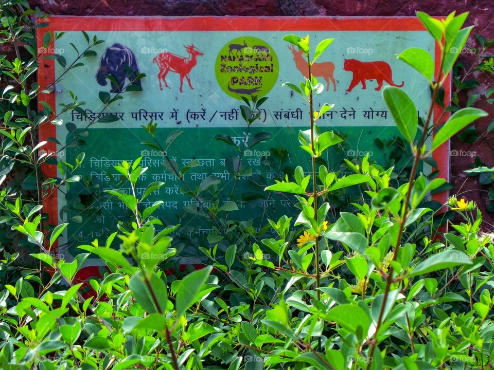 Display for tourists at Nahargarh Zoological Park, Jaipur