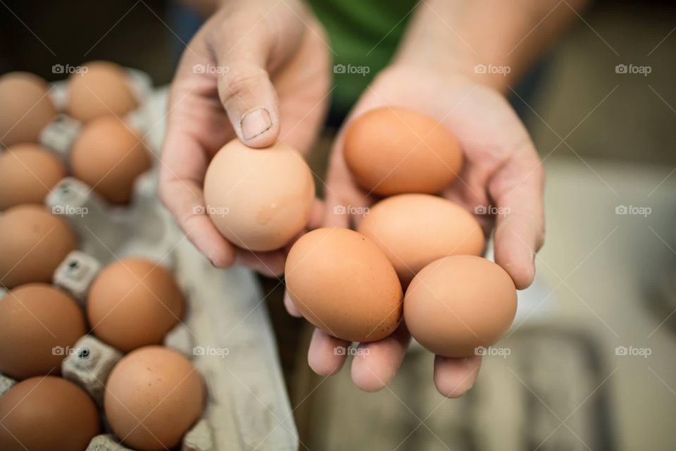 Eggs 