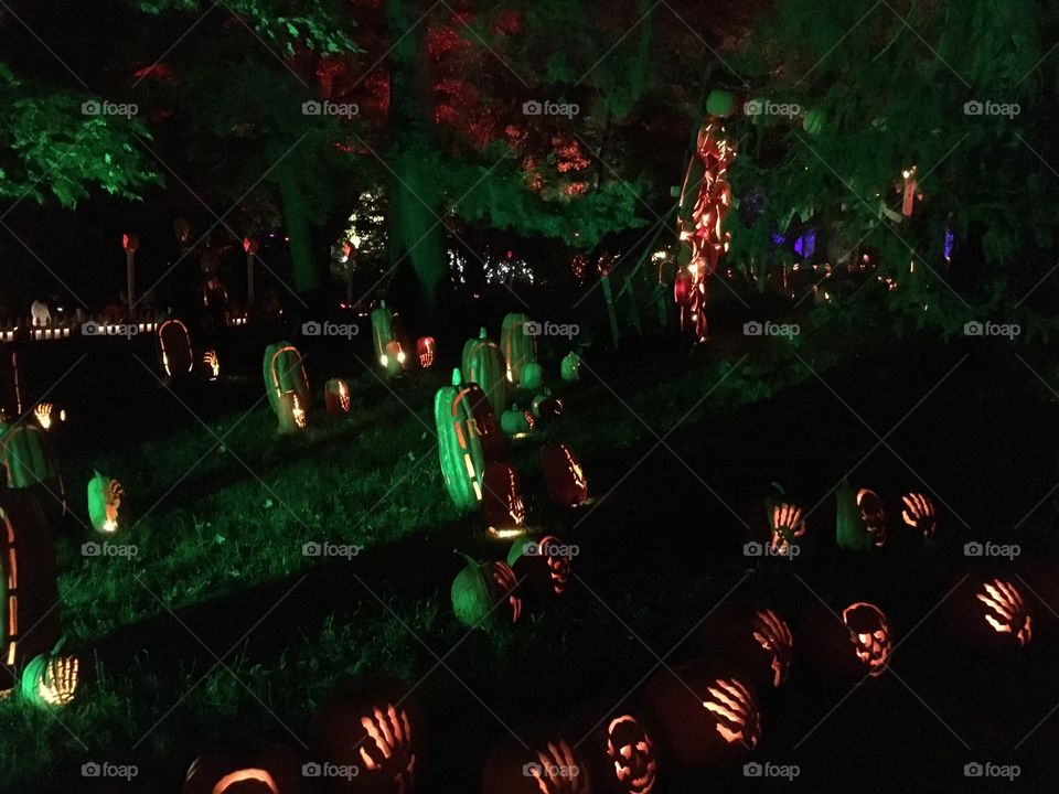 The Great Jack O’Lantern Blaze