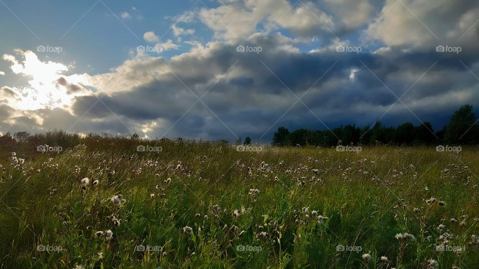 Before the summer rain. Russian field and expanse