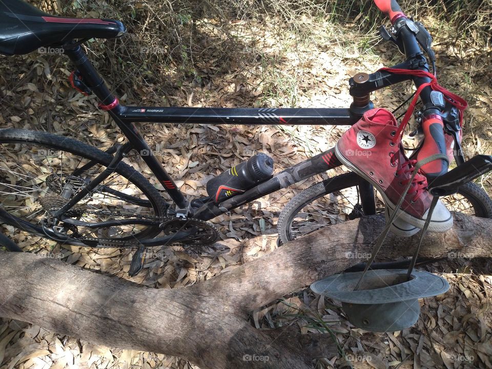 bike in the forest