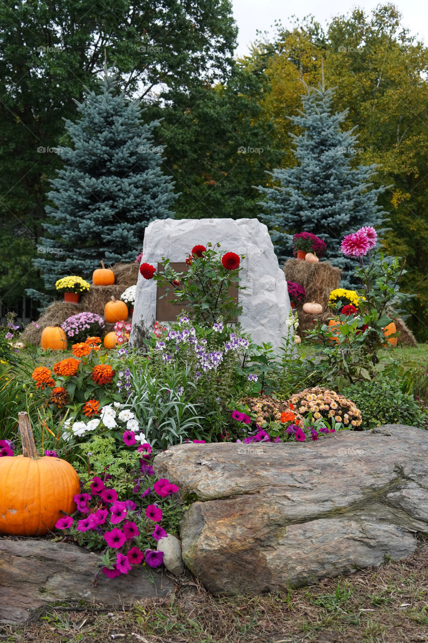Moods of Autumn - Fall Display