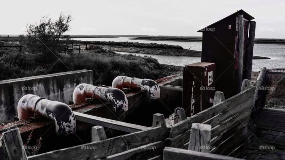 salt flats and marshes