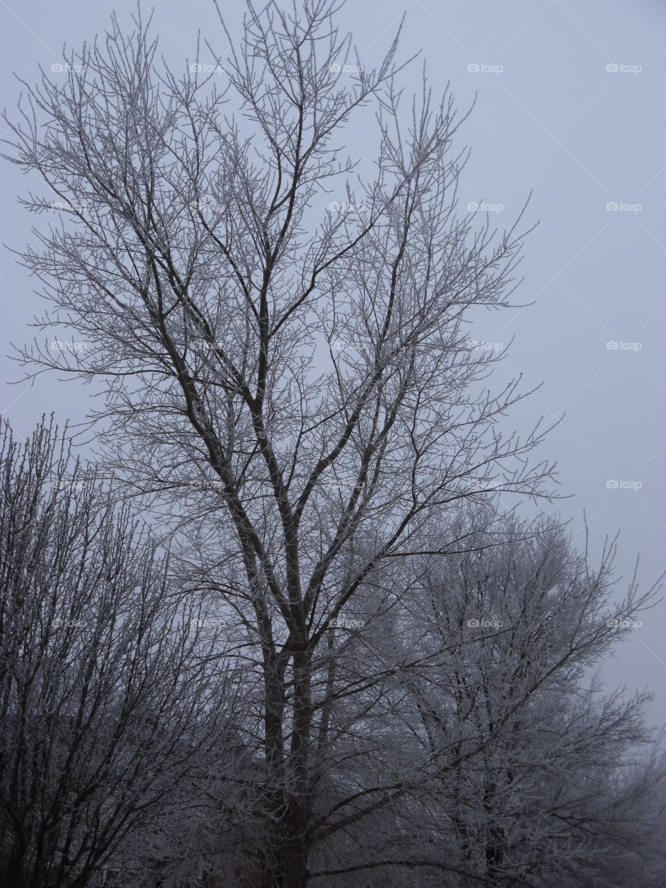 It's cold outside and I really can't say