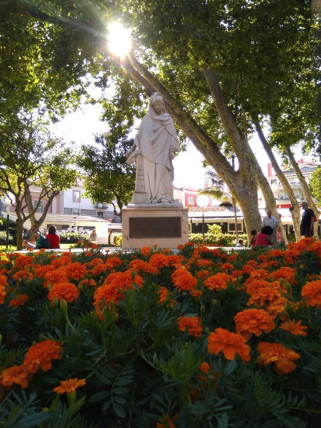 Jardim