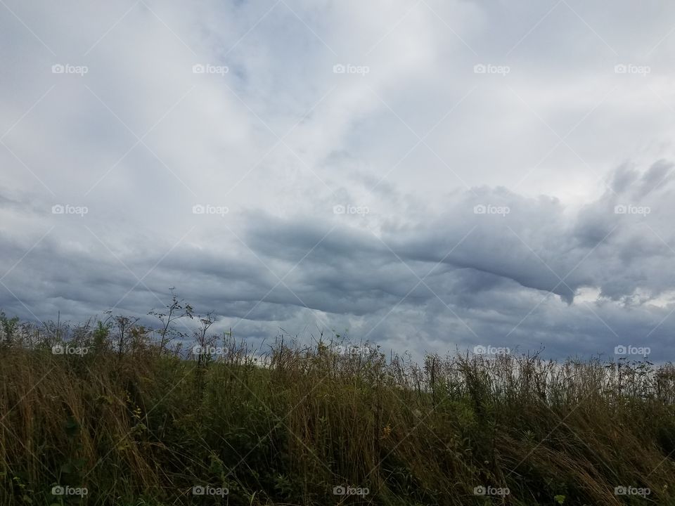 Driving the Back Roads and enjoying everything around us