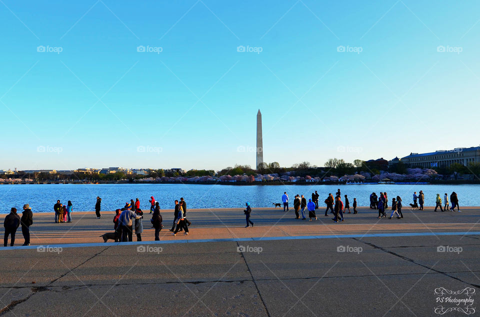 Washington Monument