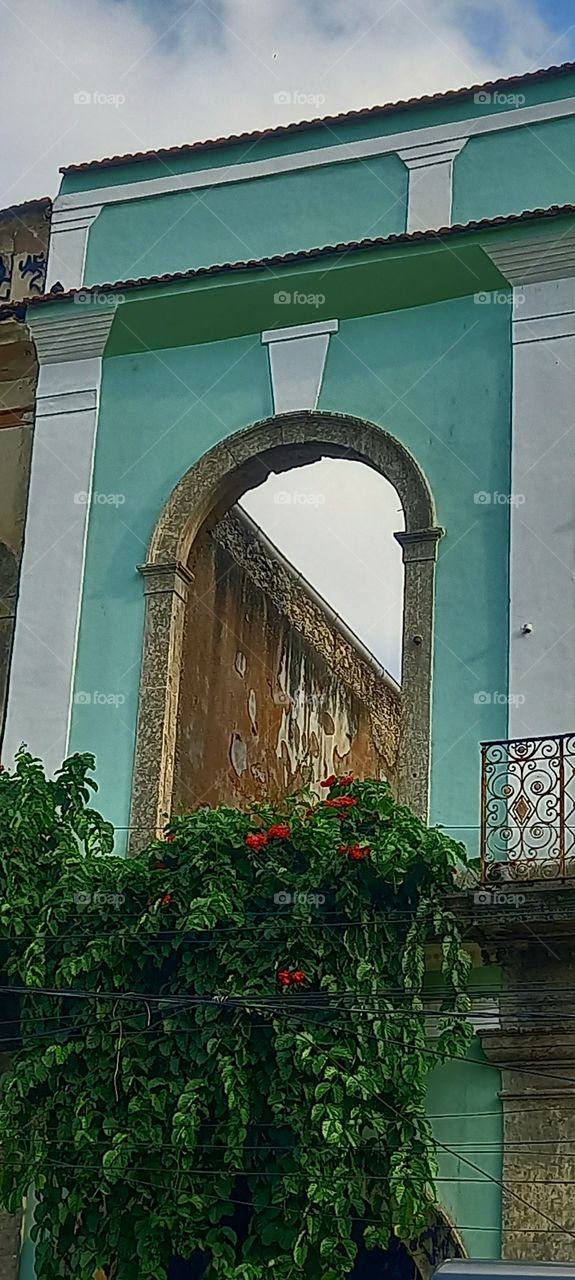 Ruinas entre plantas e céu