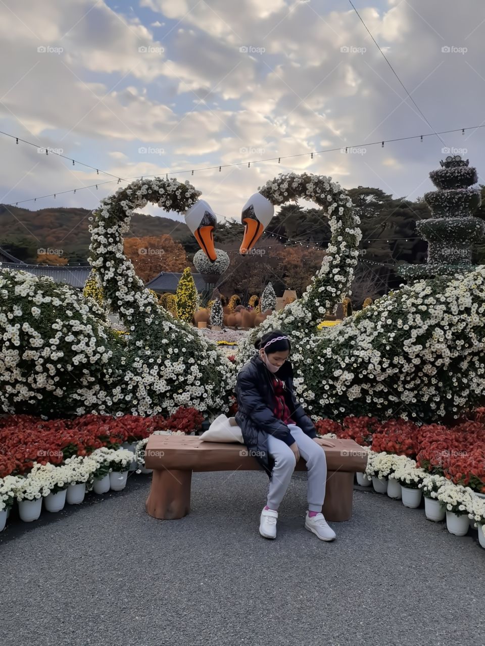 lover duck shapes of flowers.