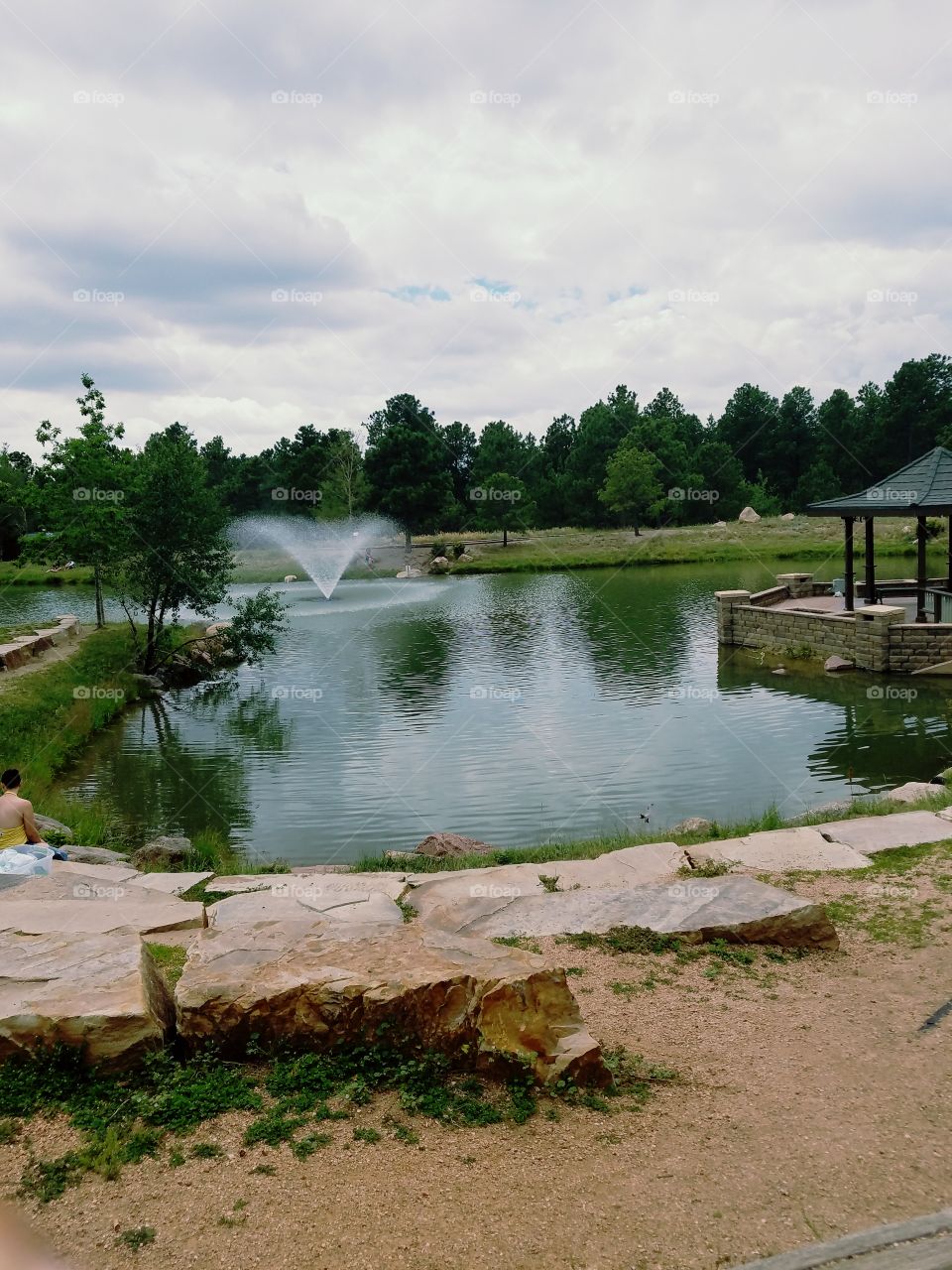Idyllic view of pond