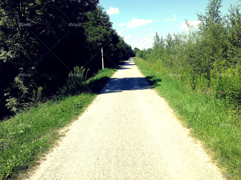 trees road shadows way by lexlebeur