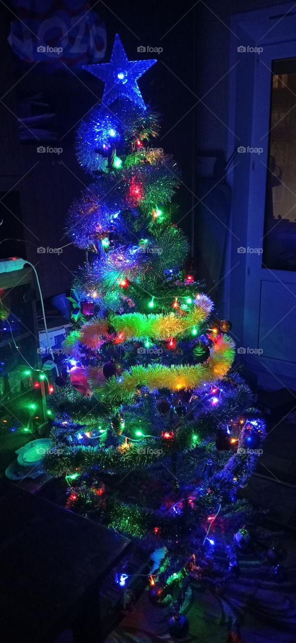 Happy New Year. Christmas tree. Russia.