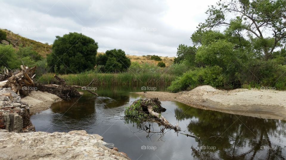 Scene Water Green Sky