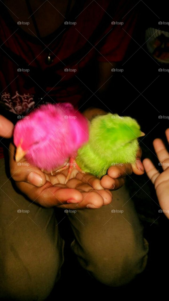 pInK gReEn ChIcK