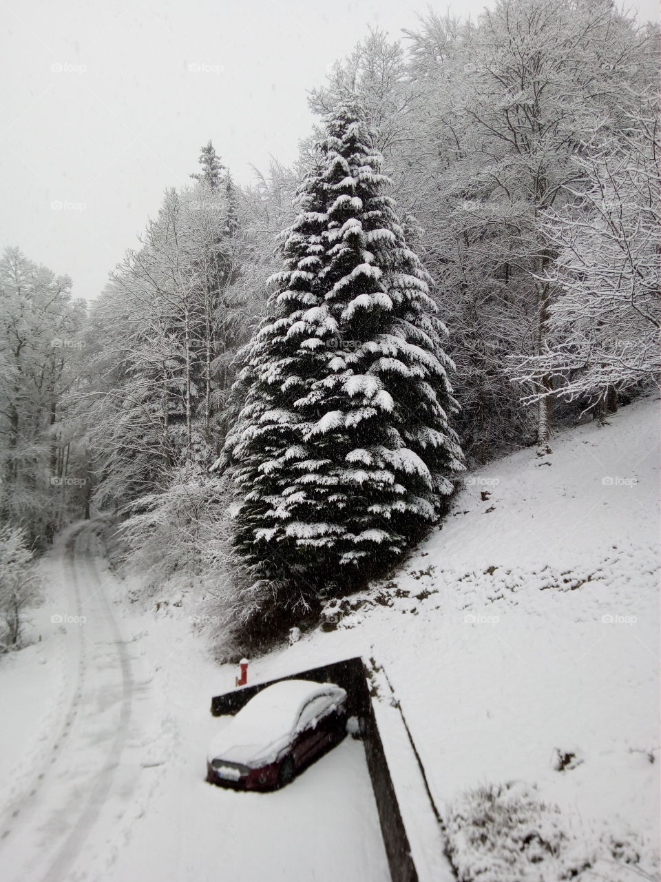Bad Wildbad in winter