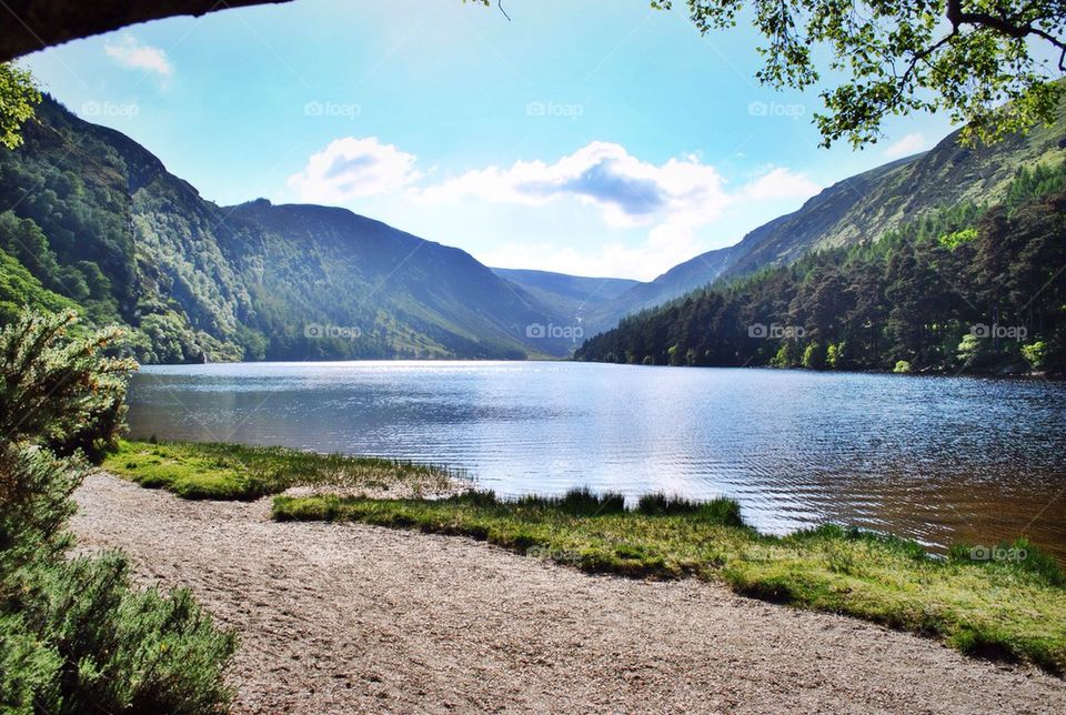 Scenic view of idyllic lake