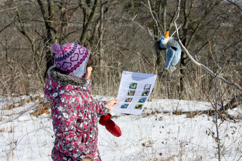 Scavenger hunt for little bird lovers