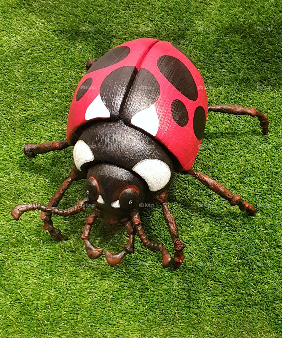 Ladybug