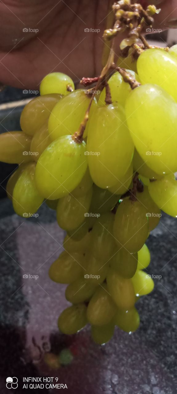 grapes