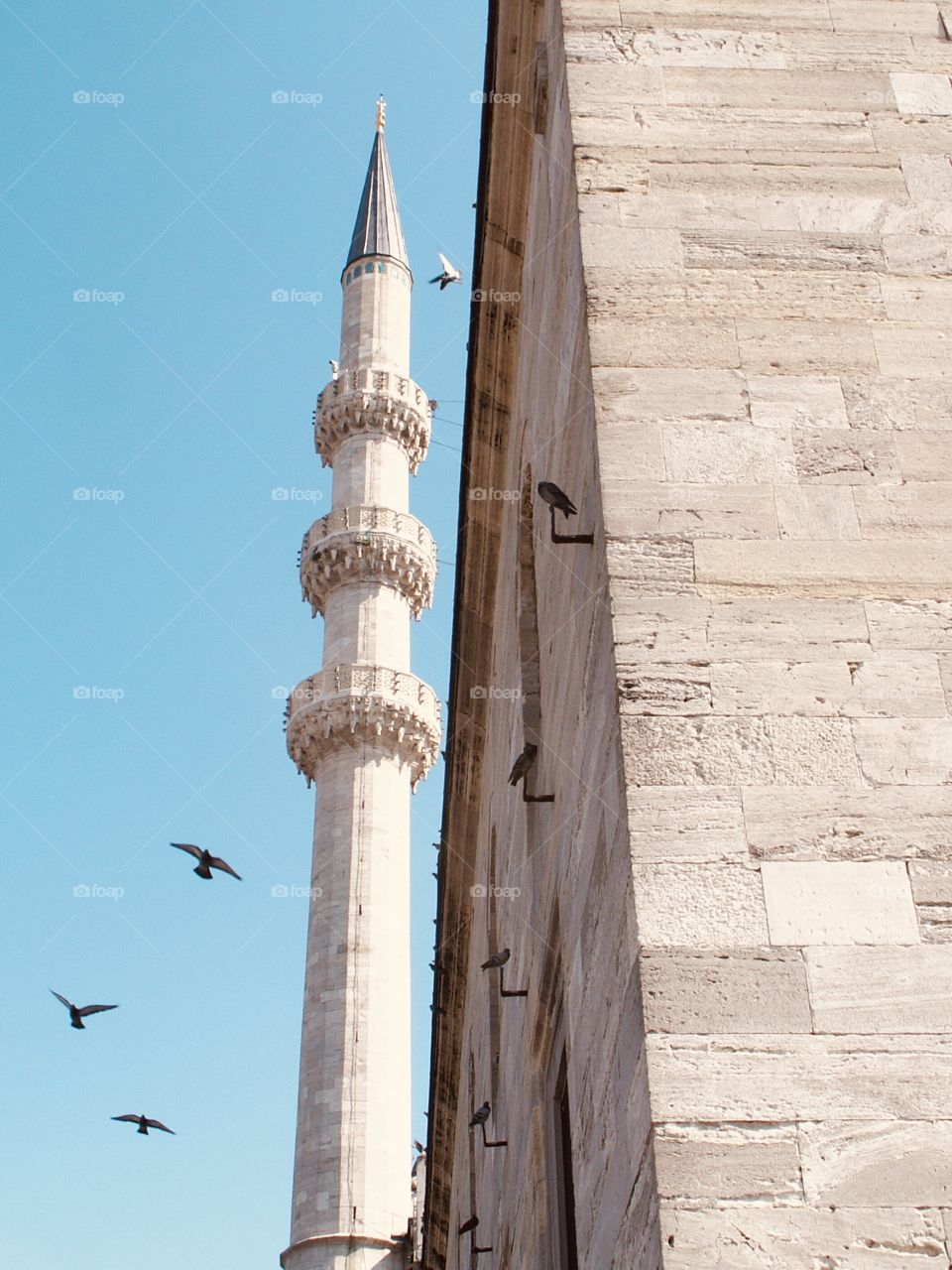 Interesting side view of Blue Mosque in Istanbul
