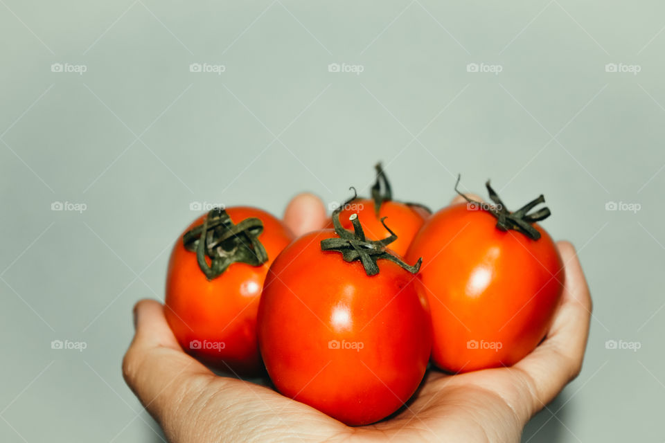 Artistic photos of tomatoes and shadows.