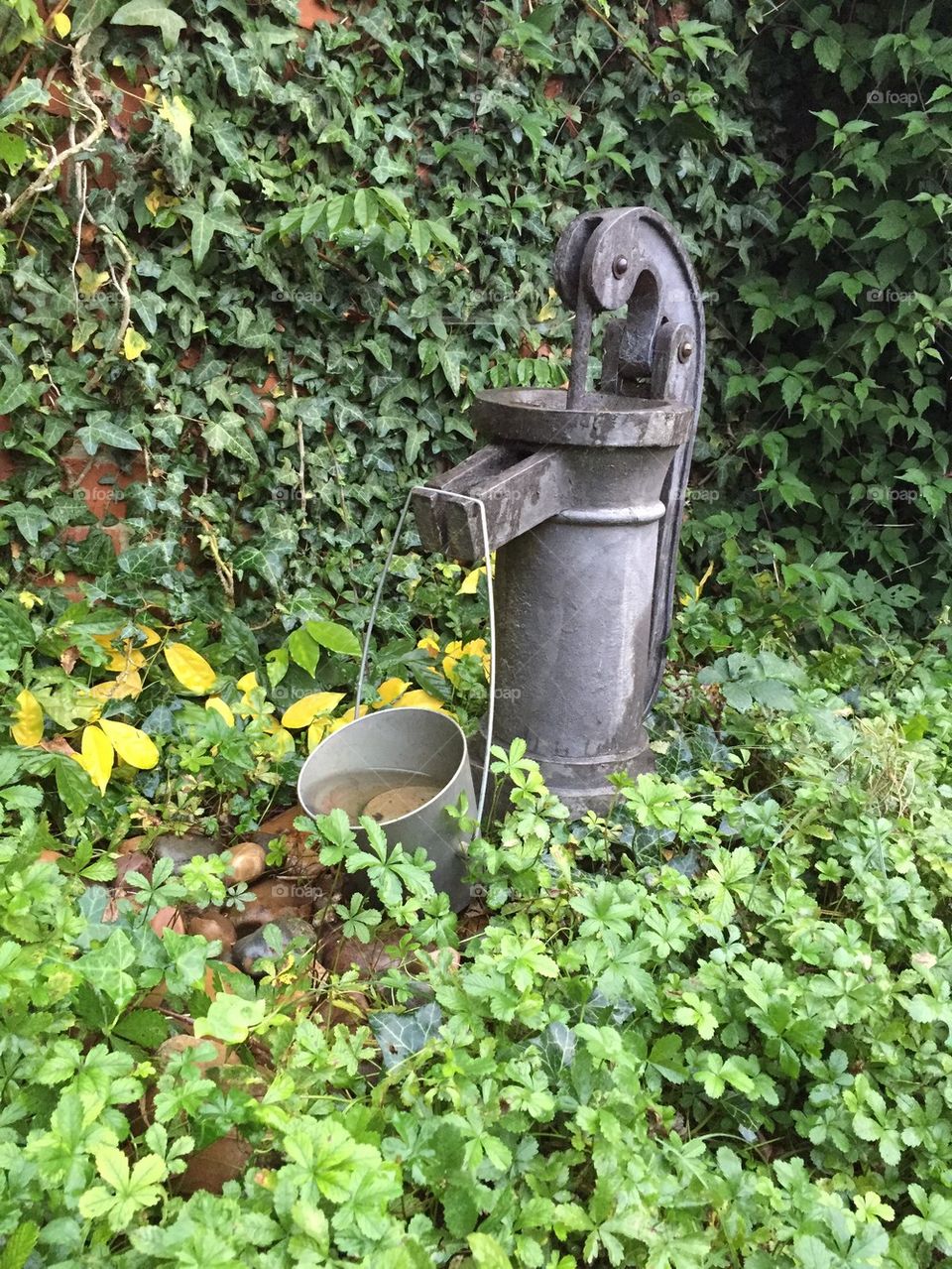 Old fashioned water pump.