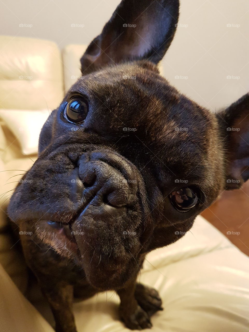 Peppa