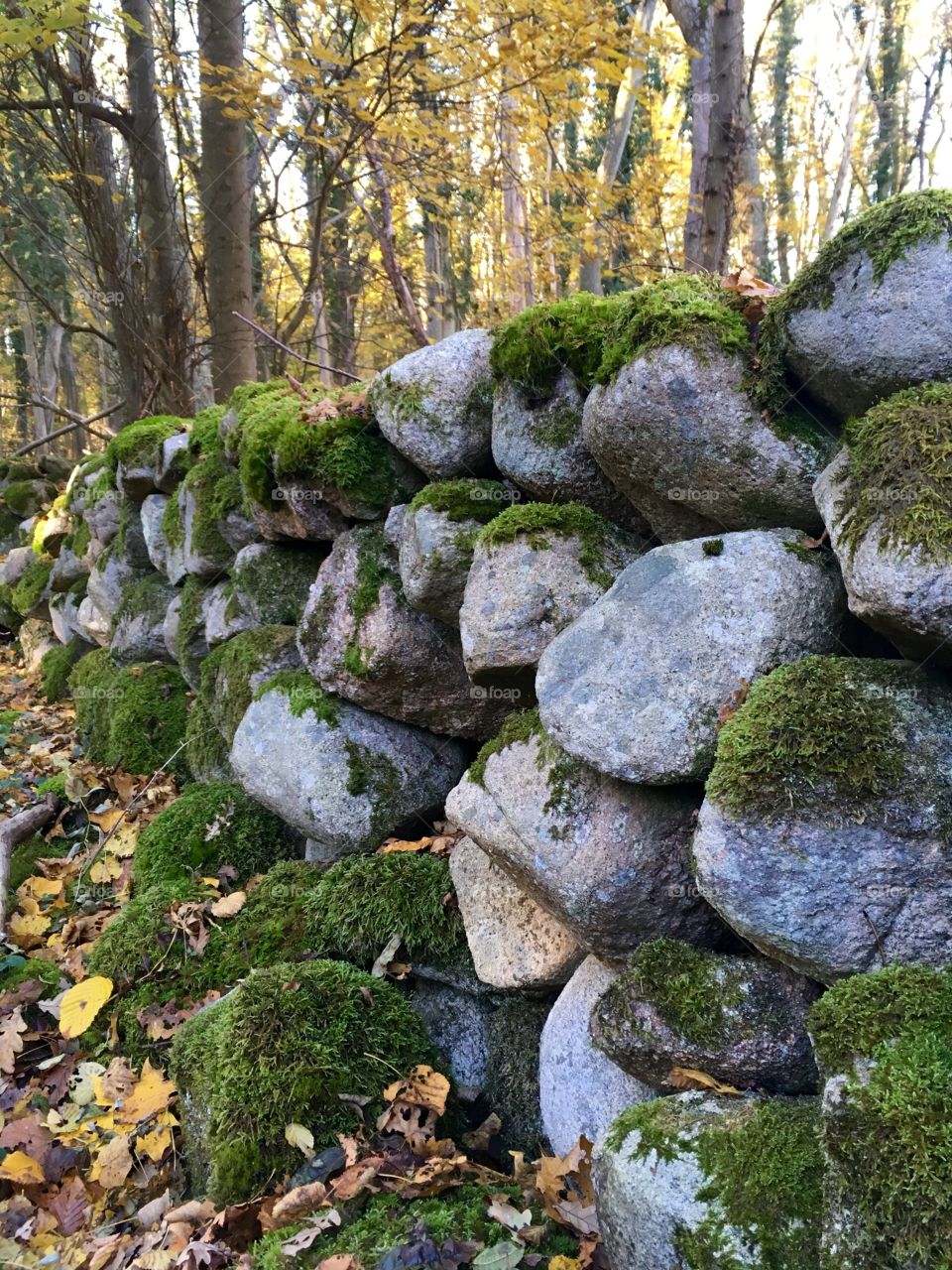 Stone wall covered in moss
