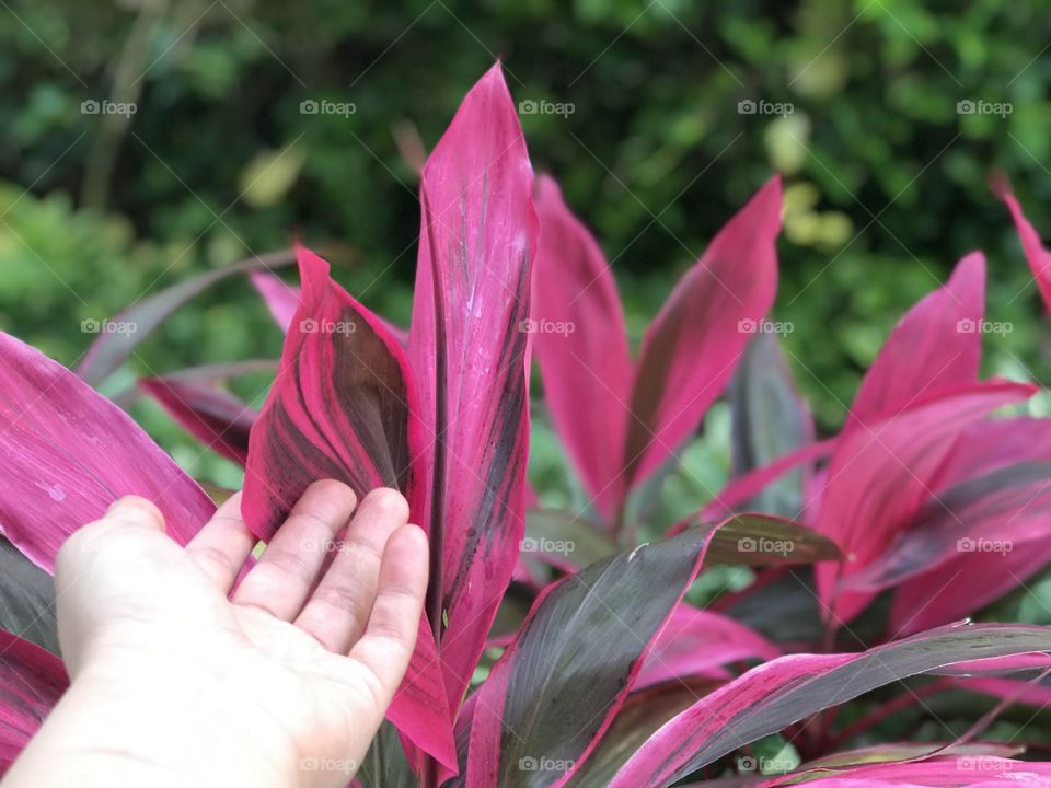 When I was in Mexico, I received a room on the first floor. Every morning, I would smell the fresh air and felt these delicate plants besides my balcony. 