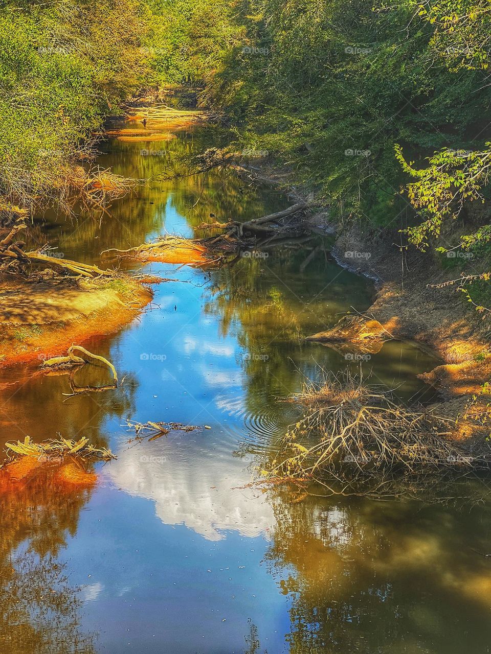 The Big Black River suffering from drought and the path obstructed by trees that have fallen during hard rains and storms. Even though the River has been battered, it still manages to proudly reflect the sky above.There is an unintended moral to this