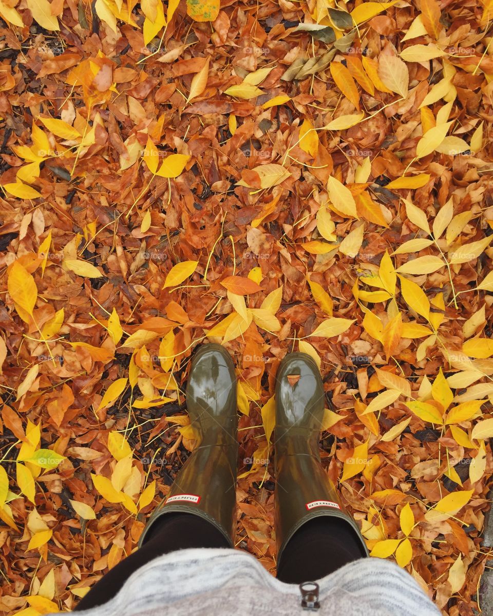 My favorite time of year