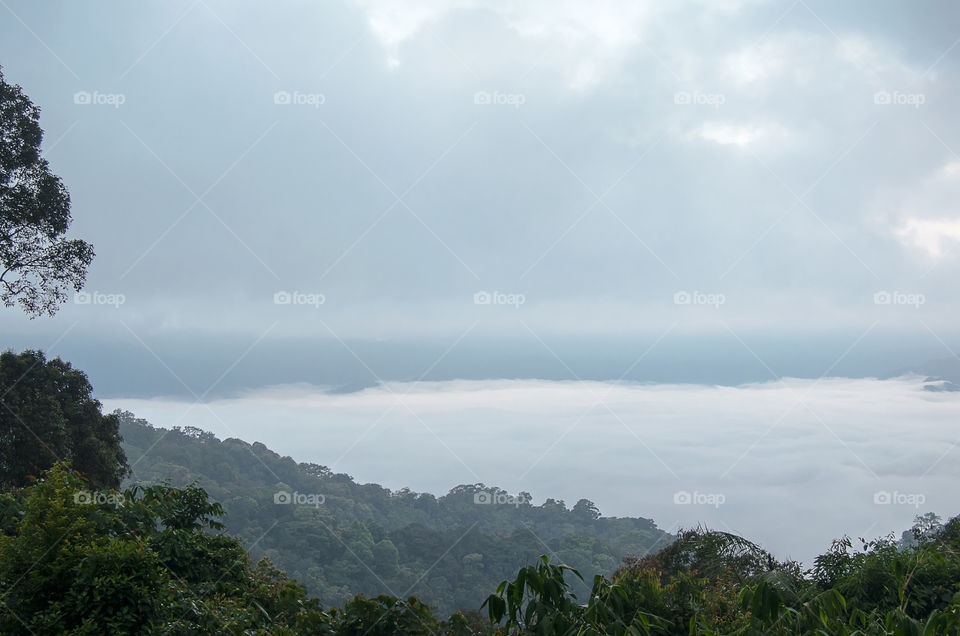 Sea of mist on the mountain.
