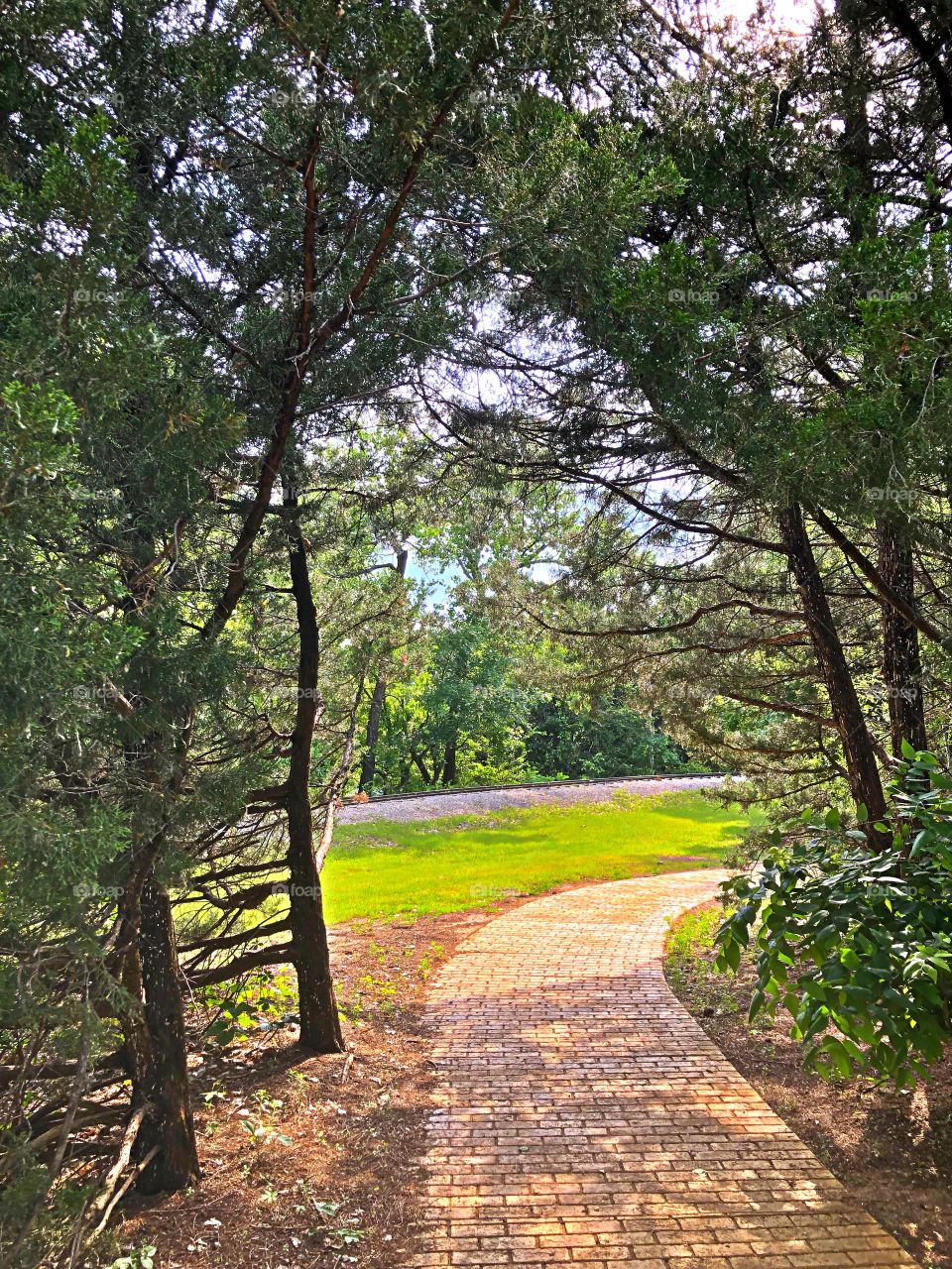 Through the trees. Watson Park 