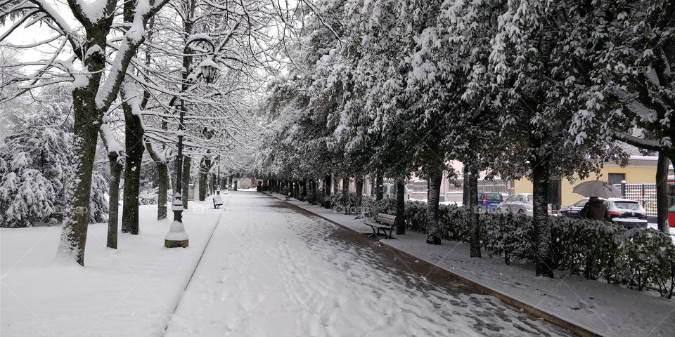 beautiful European park winter