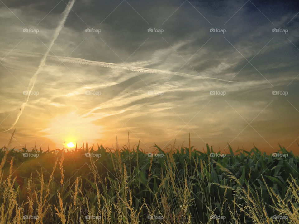 Dramatic Countryside sunrise 