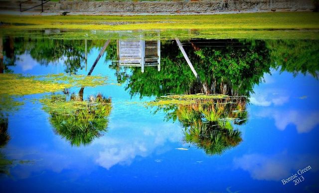 Reflection