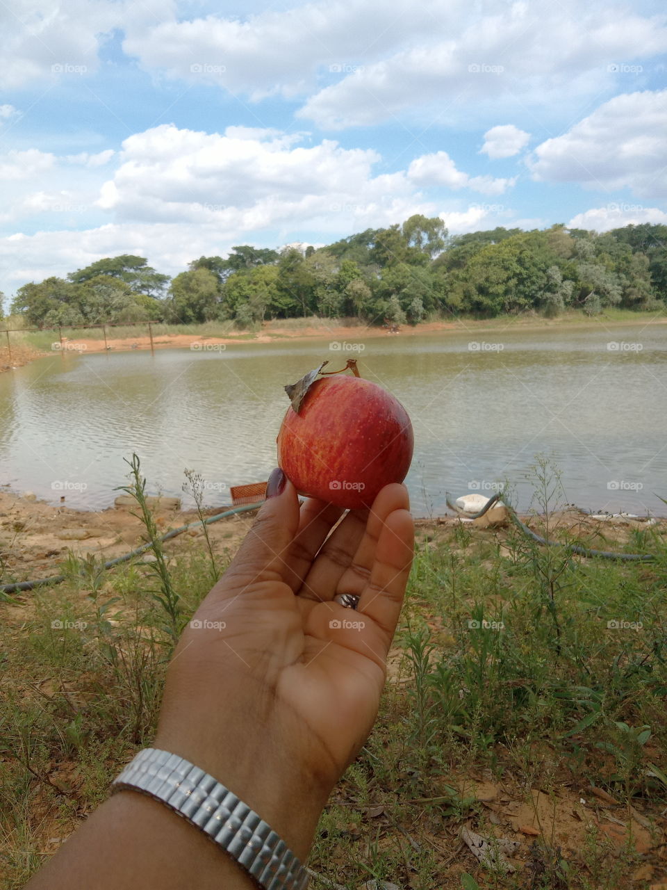 Editors'Choice: Photo of the week