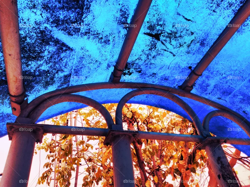 shelter