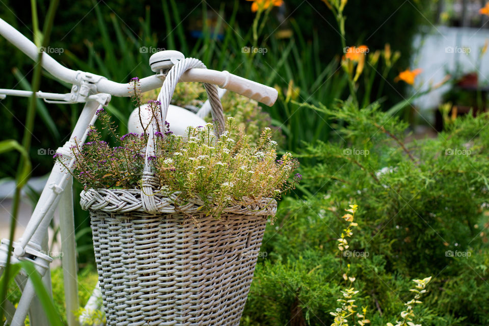 vintage bicycle garden idea. white old bicycle ideas for gardening