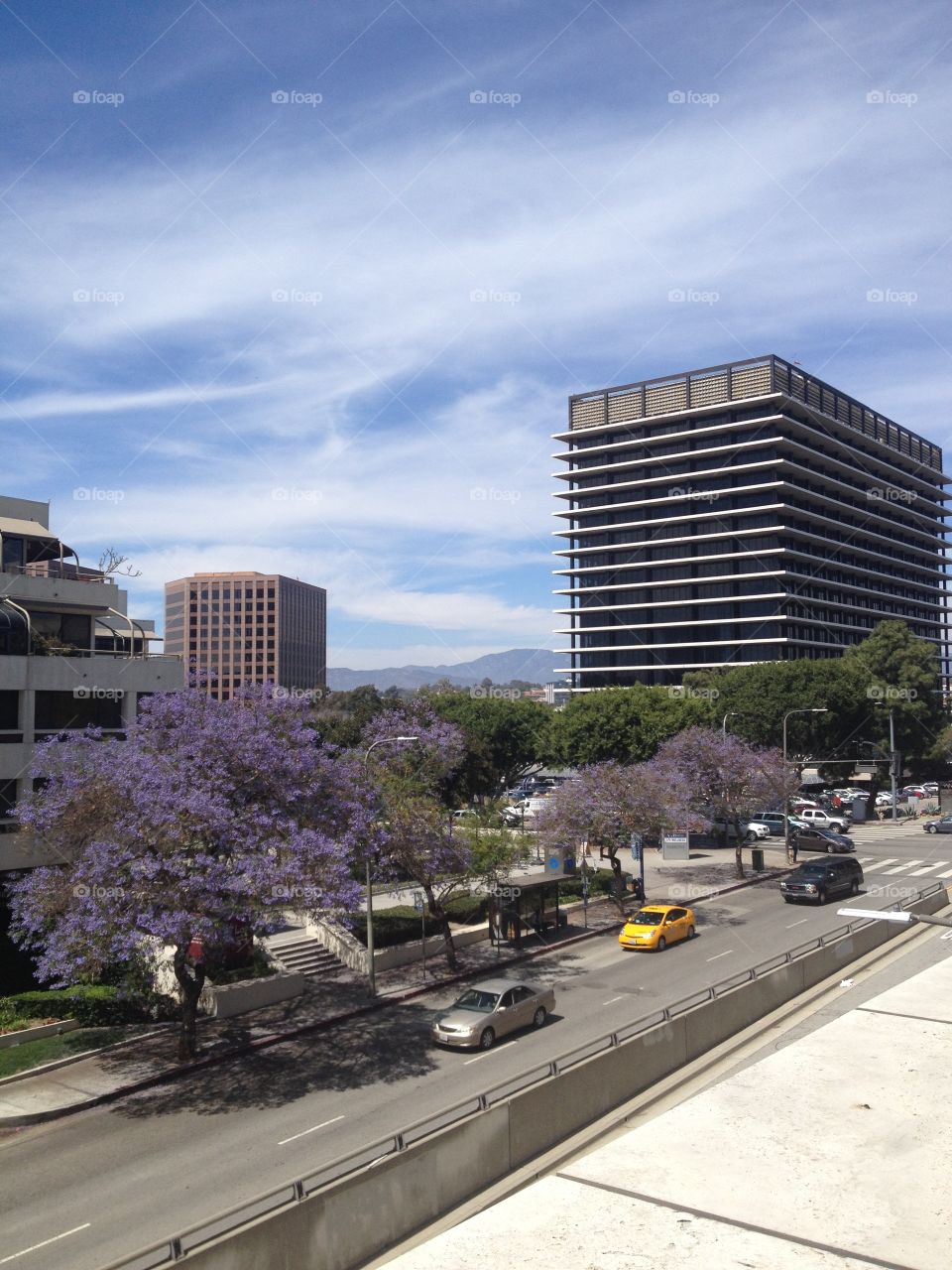 Disney Music Hall View
