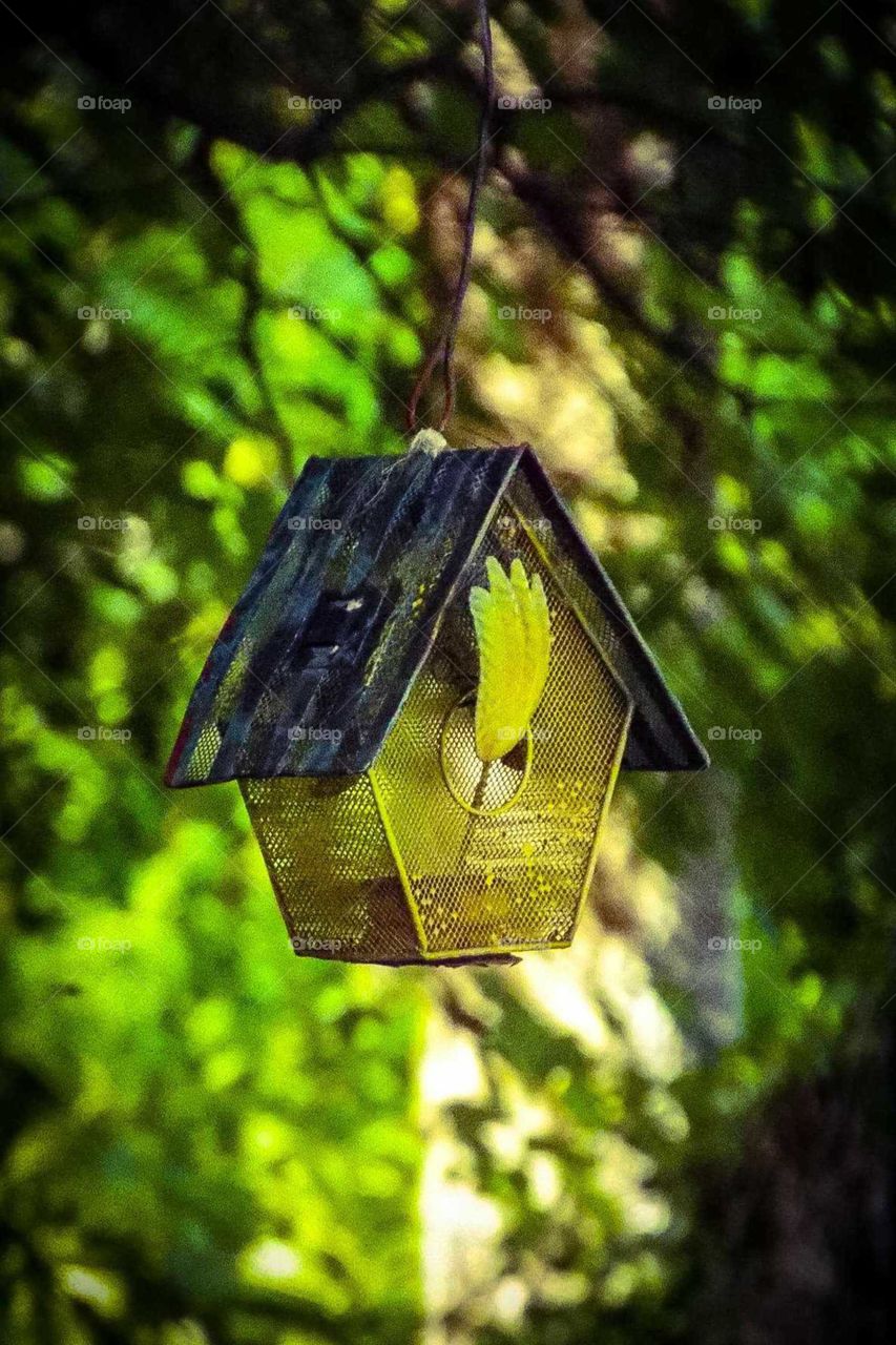 Yellow Bird house
