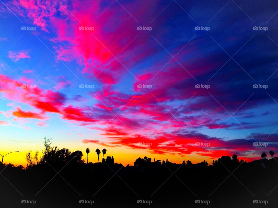 Vivid colors of the night 