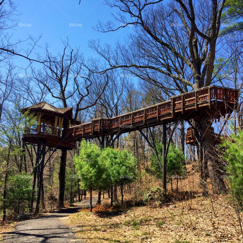 The Wenzel Treehouse at Nay Aug State Park in Scranton, PA. My wife and I were married in the treehouse.