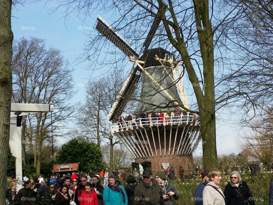 windmill