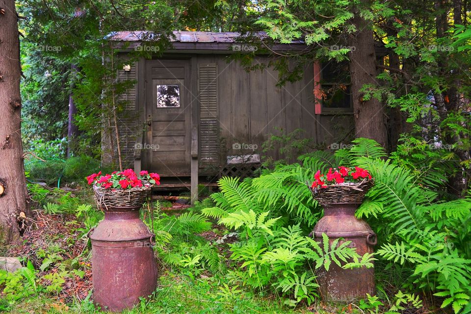 Antique milk cans in garden. Antique milk cans supporting antique wicker planters