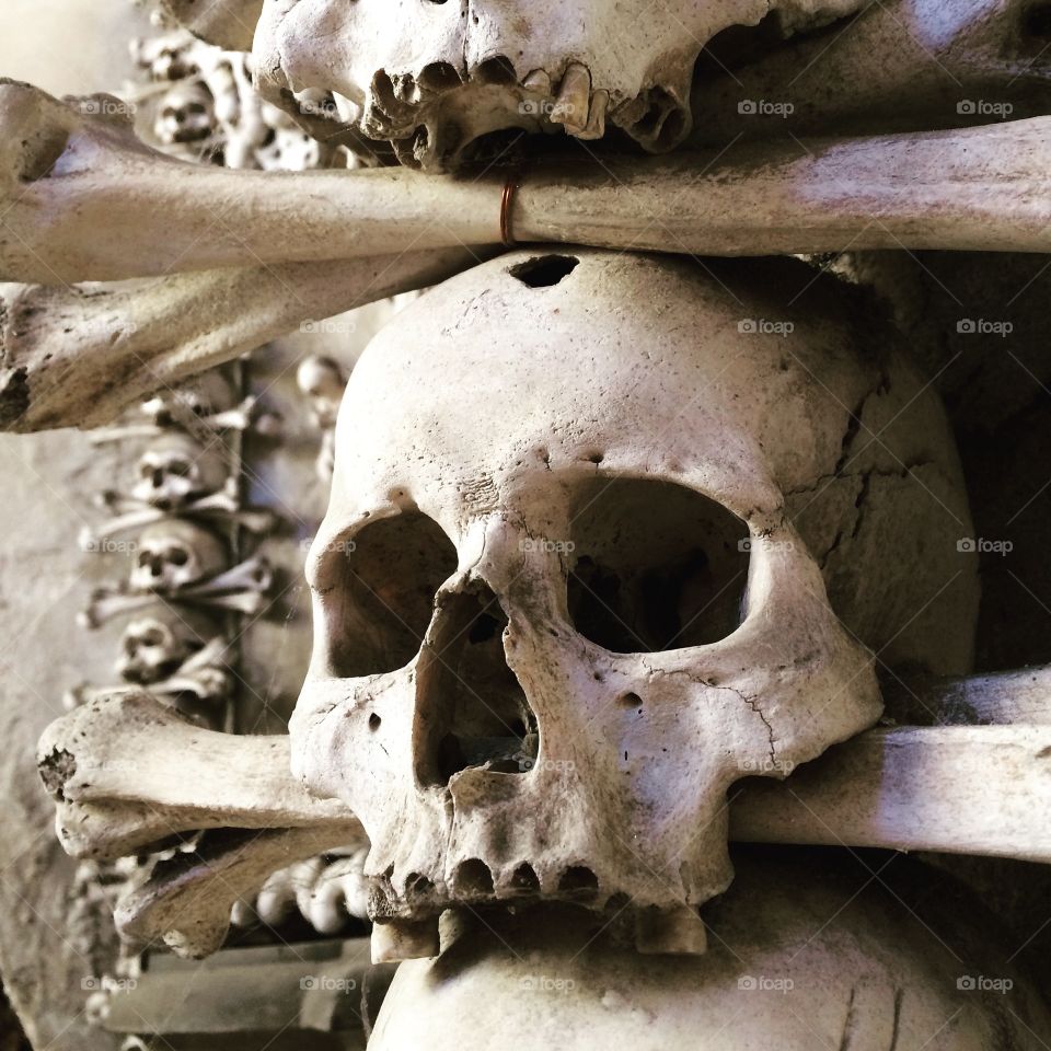 Close-up of human skull and bones