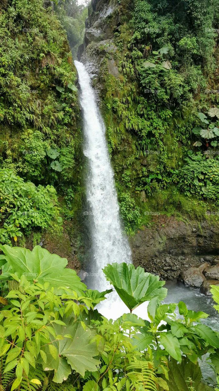 la paz waterfall