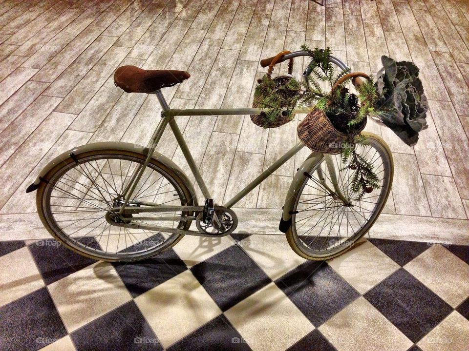 Odd bicycle . Bicycle and plants 